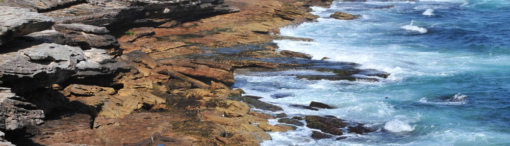 GM Maui Group of Coldwell Banker Island Properties
